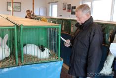 Výstava holubů a králíků 2022 v Hostovlicích