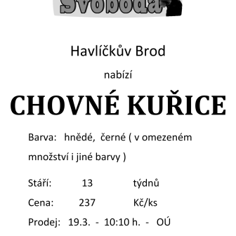 Svoboda Havlíčkův Brod bude 19. 3. 2024 v 10:10 hodin prodávat nosné kuřice u OÚ v Hostovlicích.  1